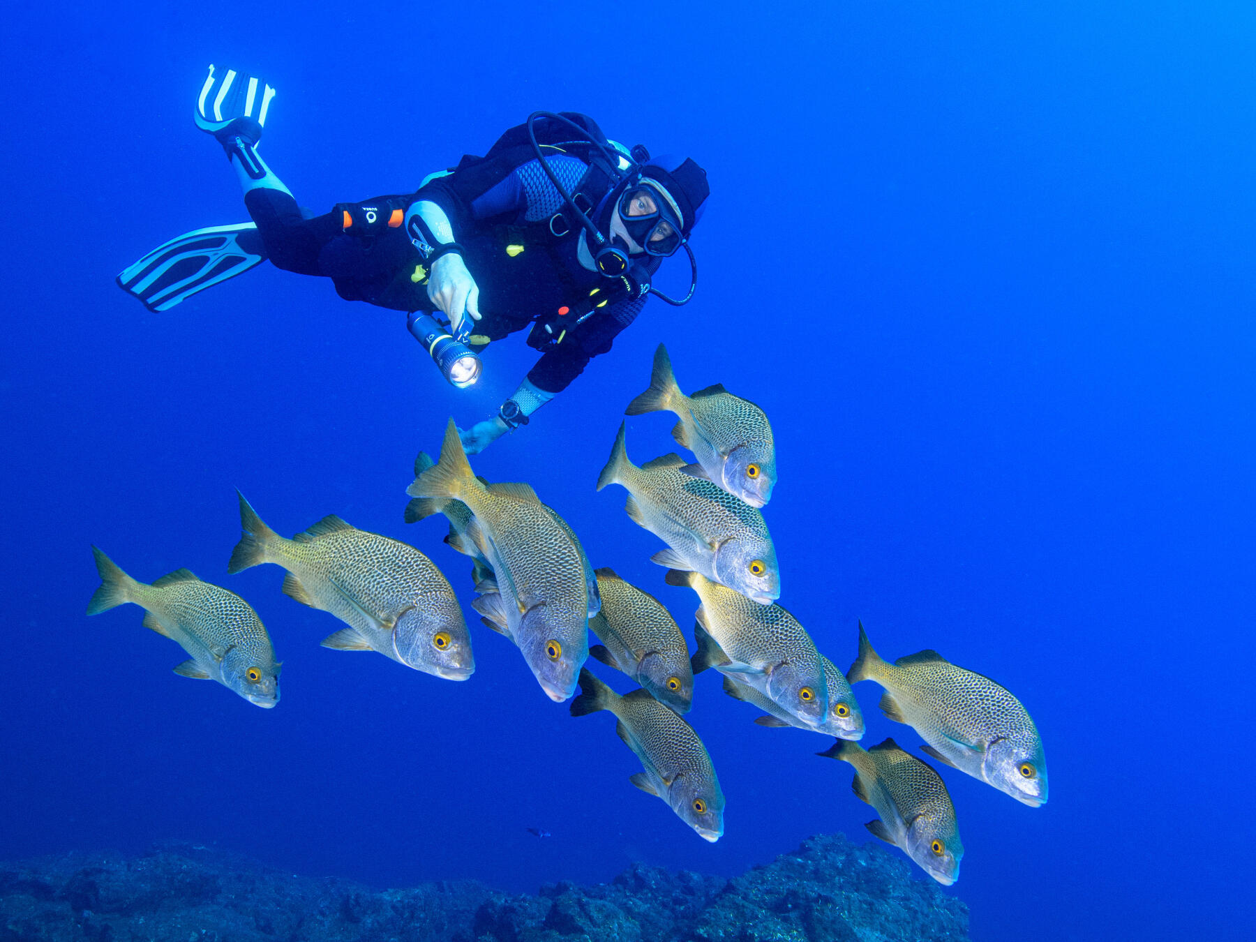 Scuba diving pentru începători: Ghid complet