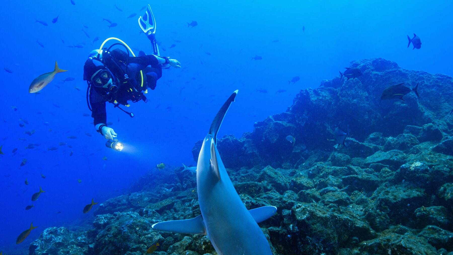 Scuba diving pentru începători: Ghid complet