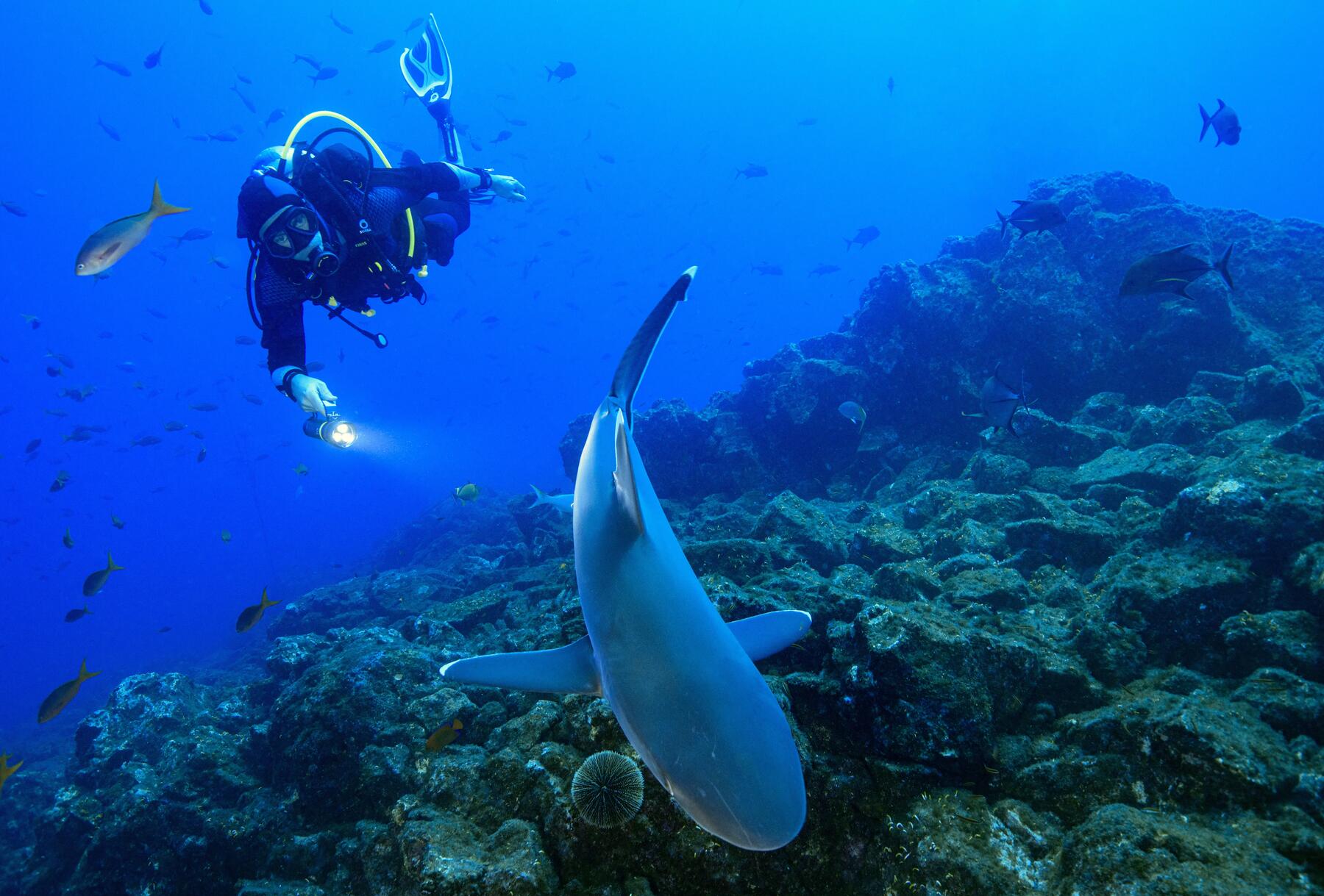 Phare de plongée sous-marine Decathlon