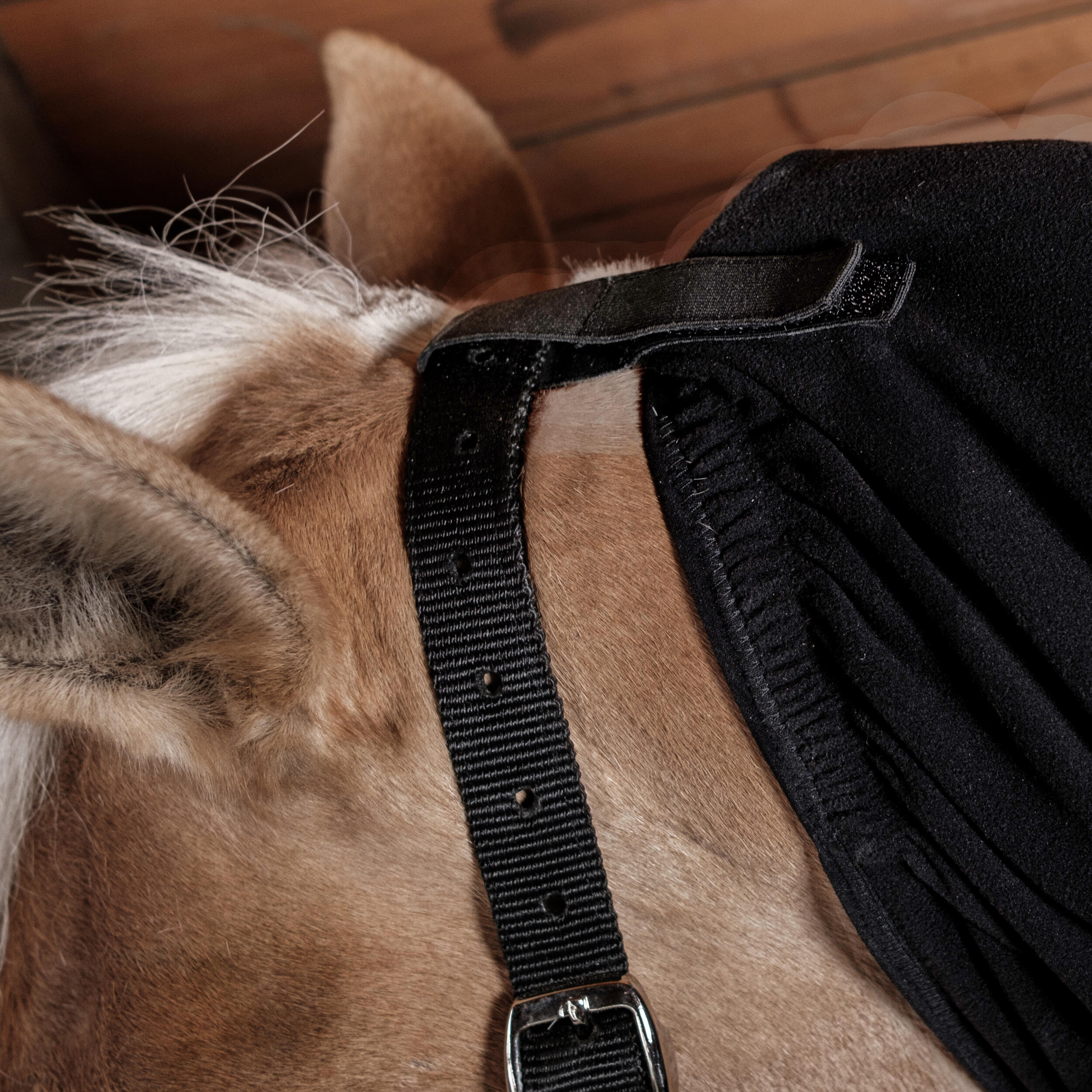 Horse Riding Neck Fleece Cover for Horse & Pony Polar - Black 6/6