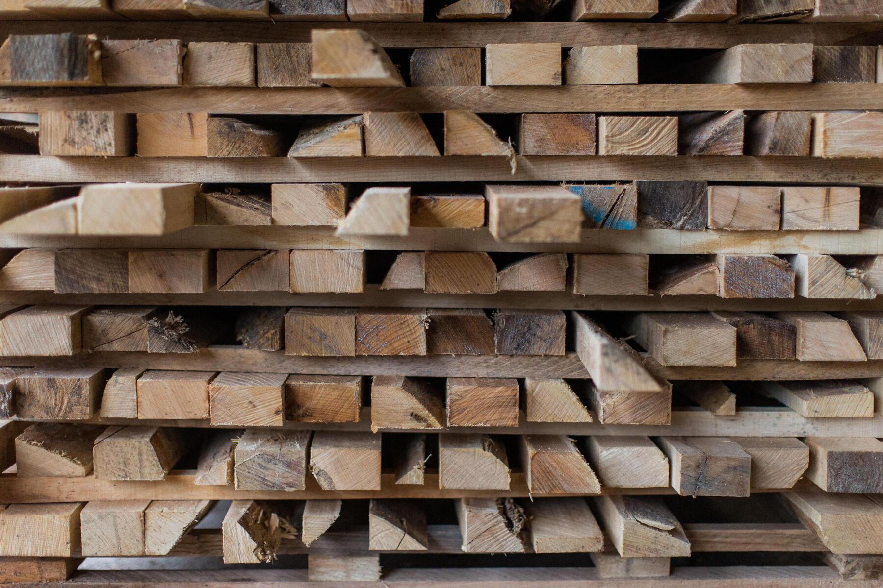 DOMYOS WOODBIKE (2021)