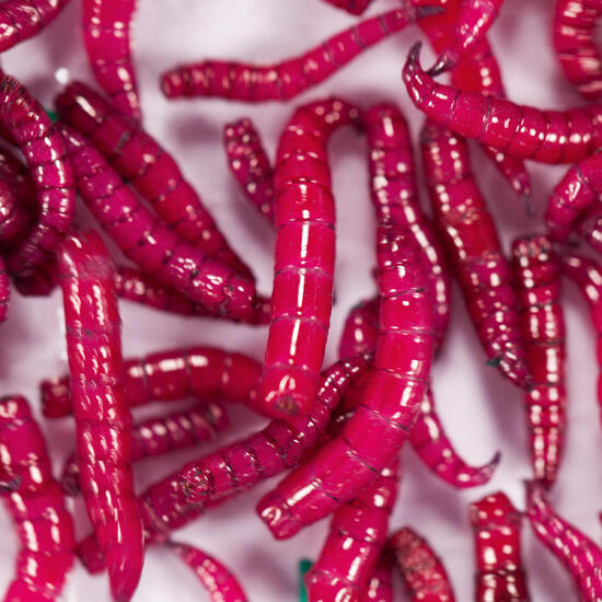 Appât de pêche, boite Fifises Rouges