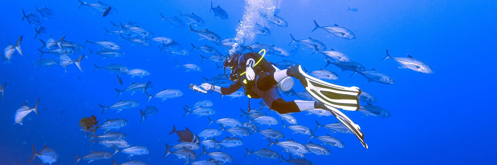hombre buceando entre peces