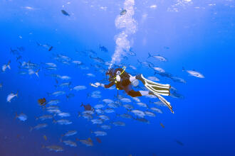 Scuba diving pentru începători: Ghid complet