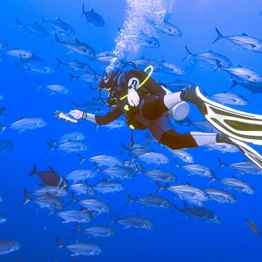 Palmes Colorées Dessinées à La Main Pour La Plongée Palmes De Natation  Accélérer Le Rythme De La Natation équipement De Plongée