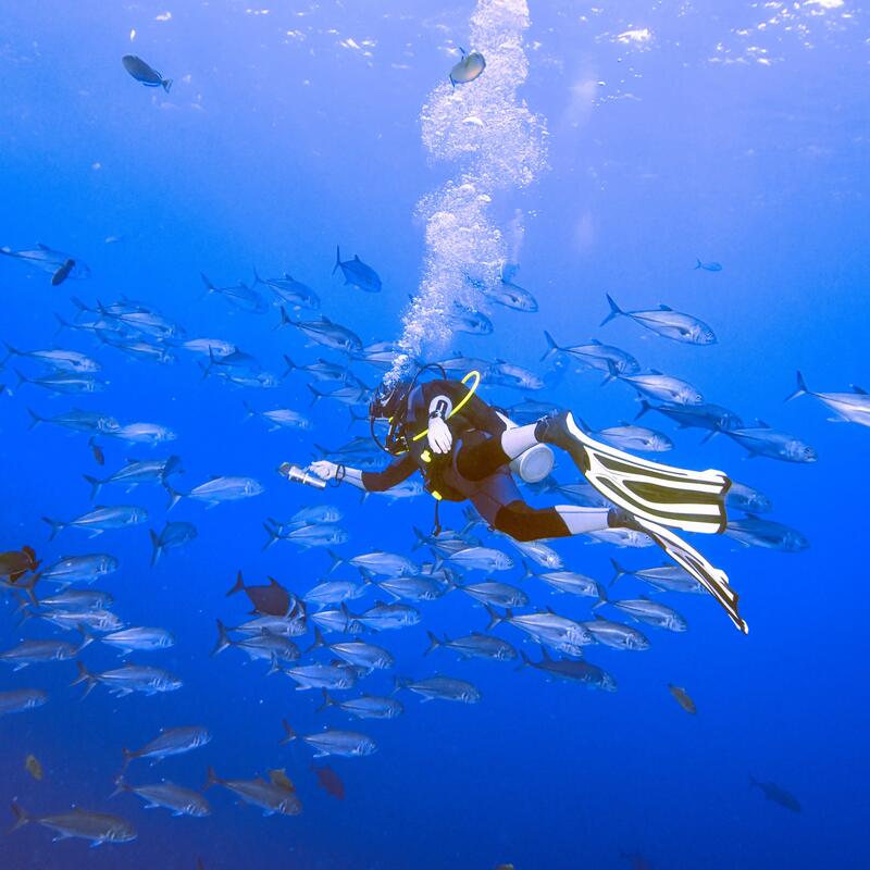 Scuba diving pentru începători: Ghid complet