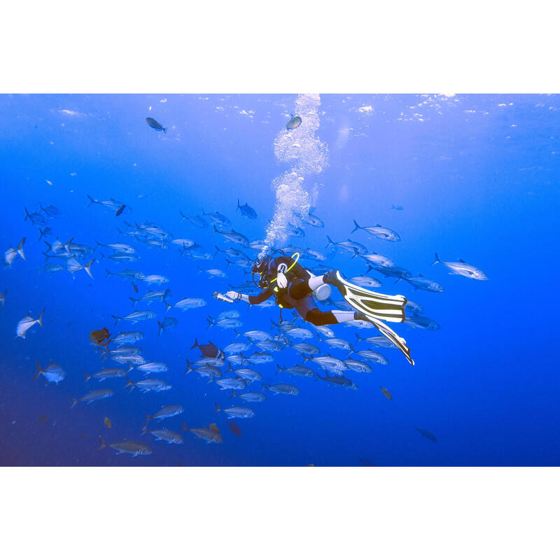 Comment choisir ses palmes de plongée ?