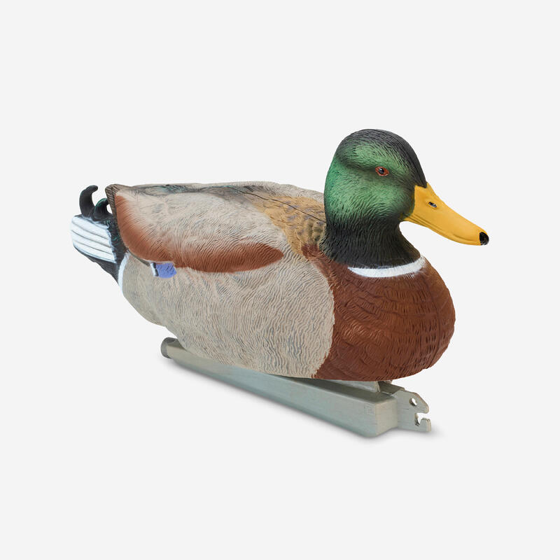 Appelants canards