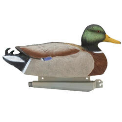 APPELANT COLVERT FEMELLE 500 HD