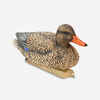 MALLARD DECOY 500 FEMALE HD