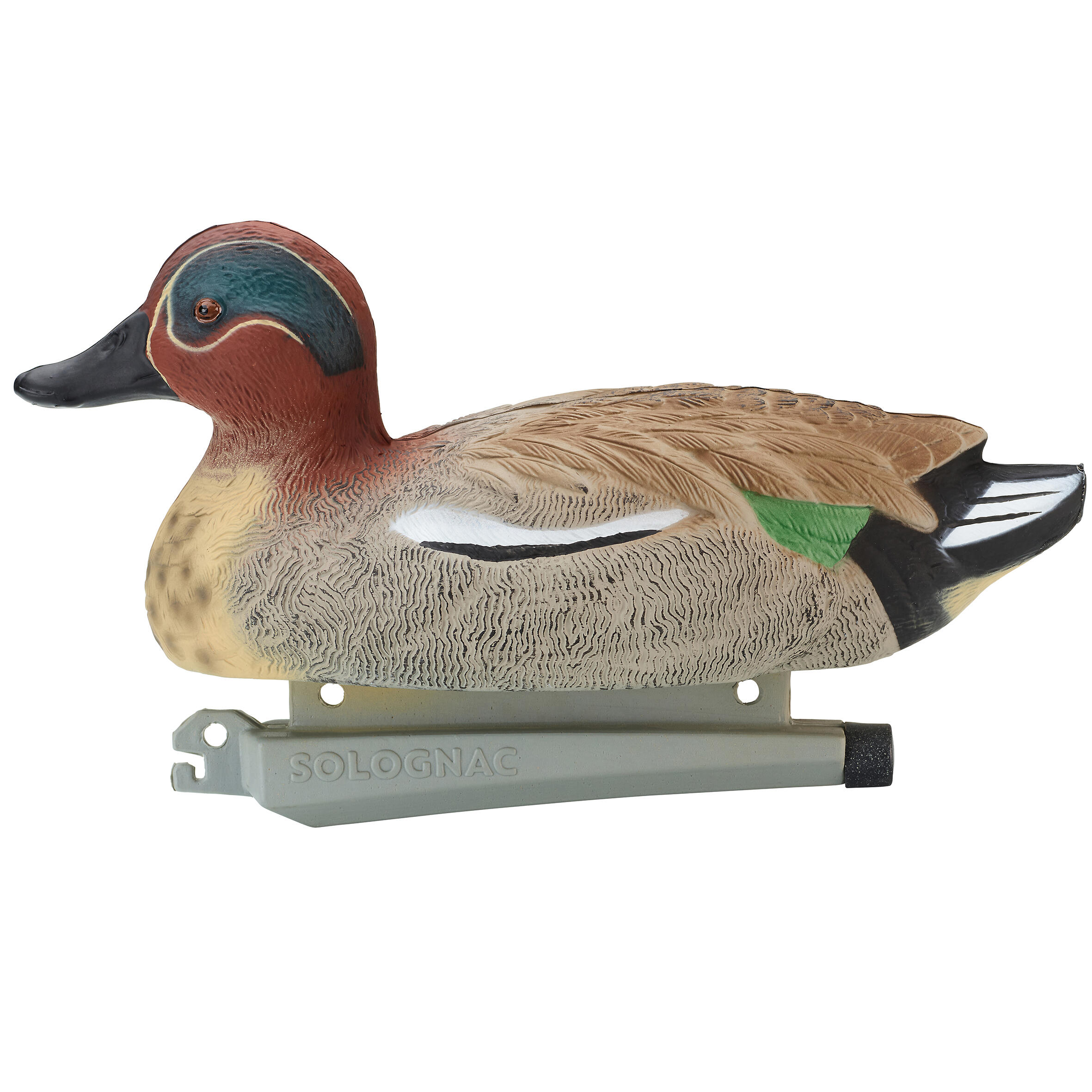 Stampo 500 HD alzavola maschio  4/12