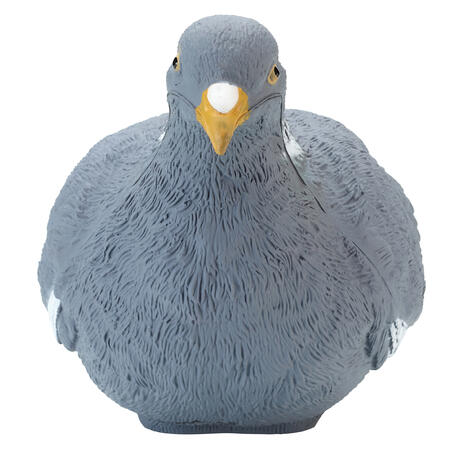 FORME PIGEON 3D 100