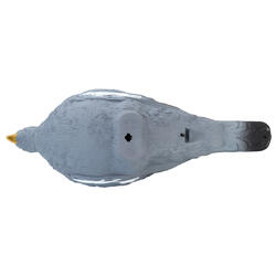 FORME PIGEON 3D 100