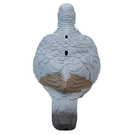 МУЛЯЖ ЛЕСНОГО ГОЛУБЯ 3D 100