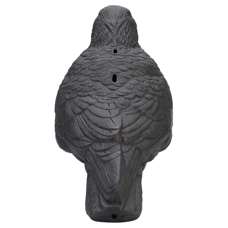 Stampo 3D corvidi 100