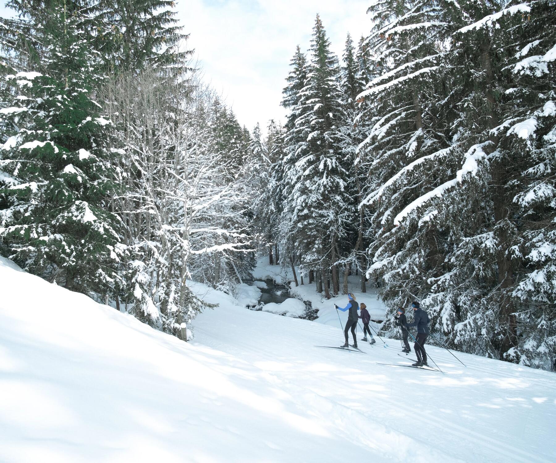 A family cross-country skiing
