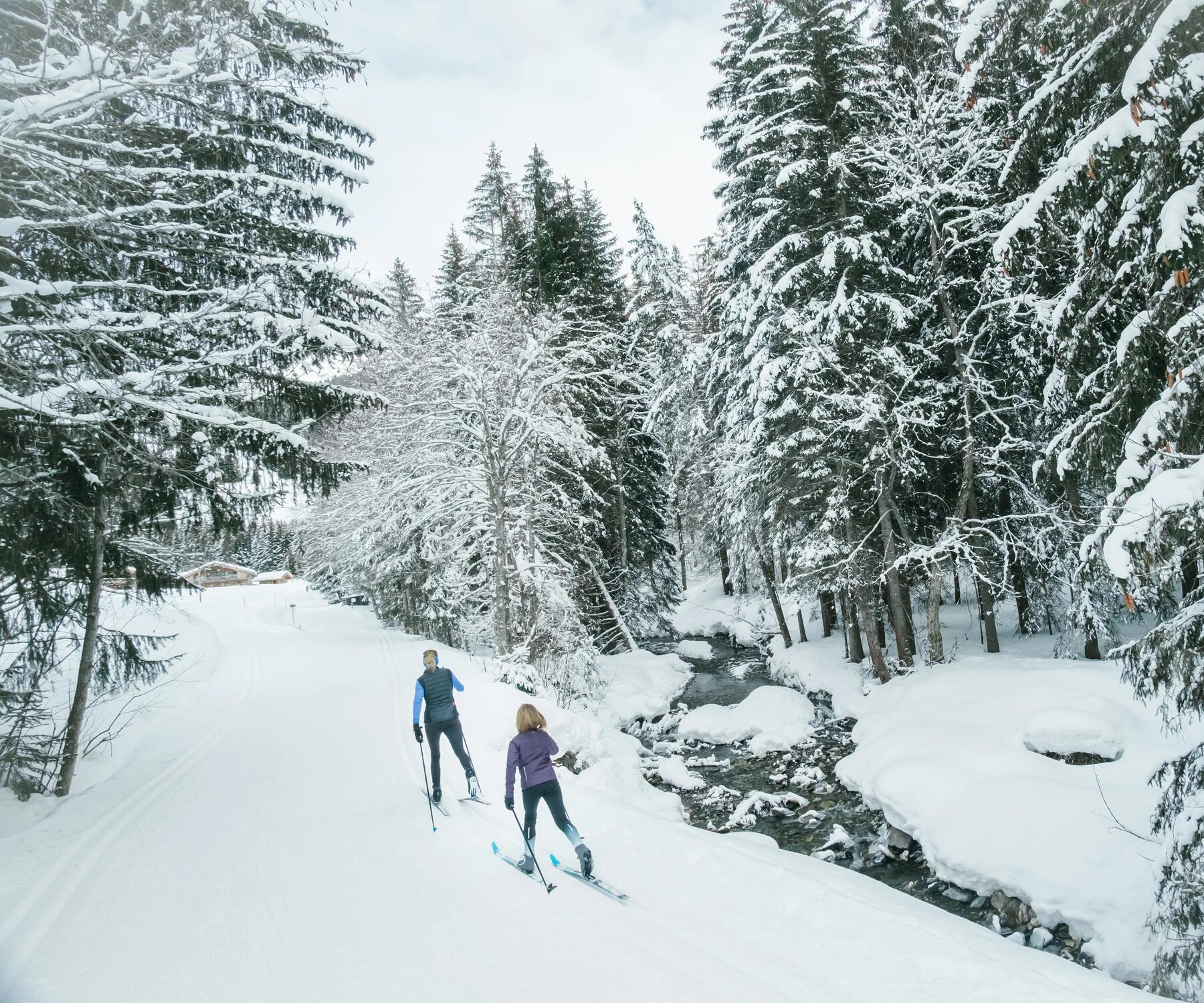 two people cross-country skiing through a forest