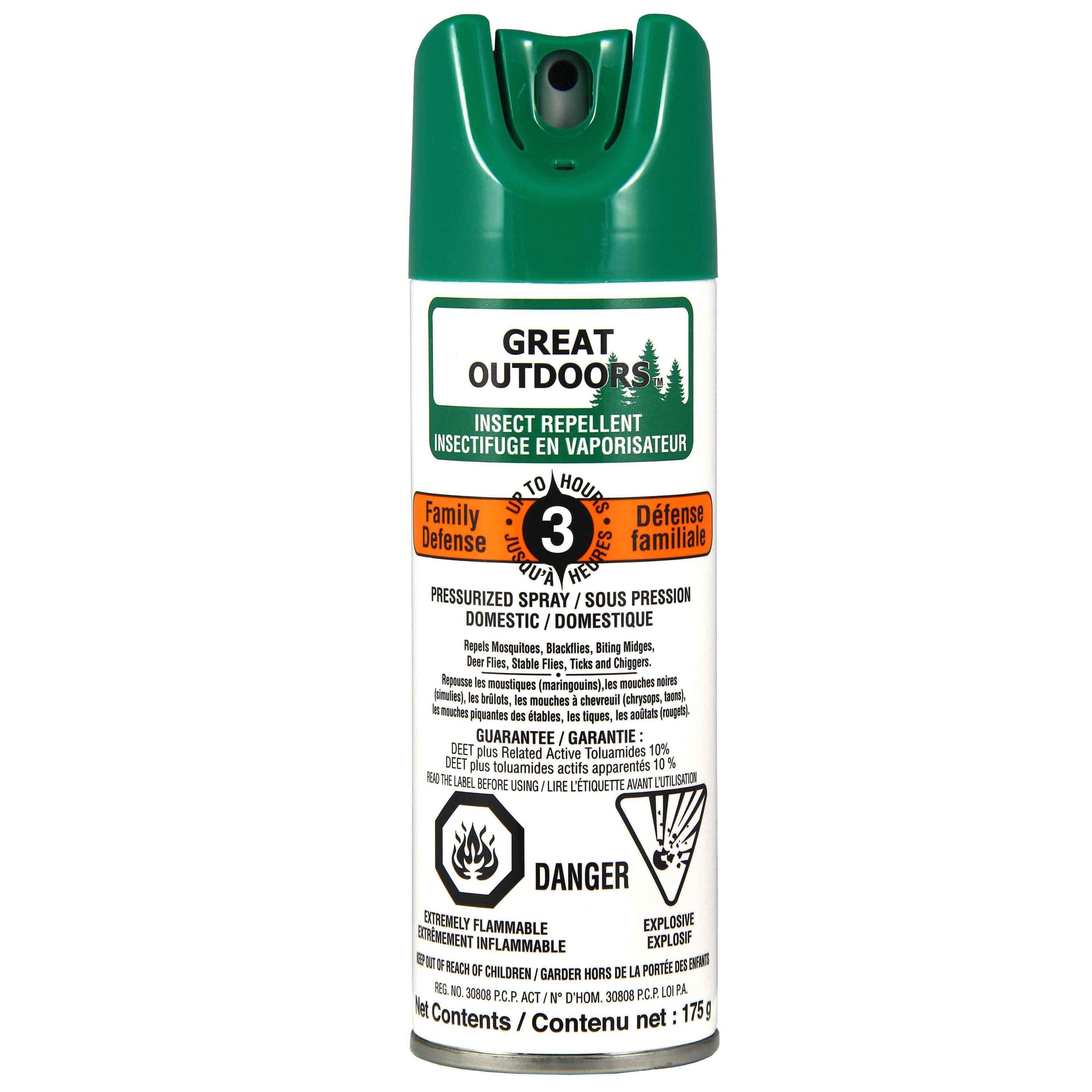GREAT OUTDOORS picture