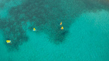 Windsurf