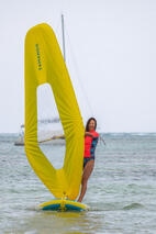 Voiles windsurf
