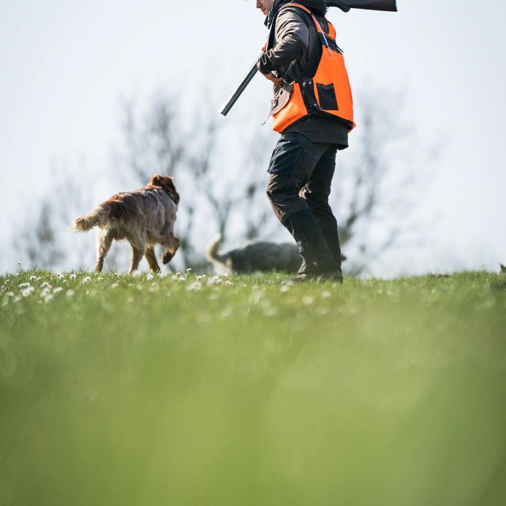 Vīriešu medību veste “920”, brūna, spilgti oranža