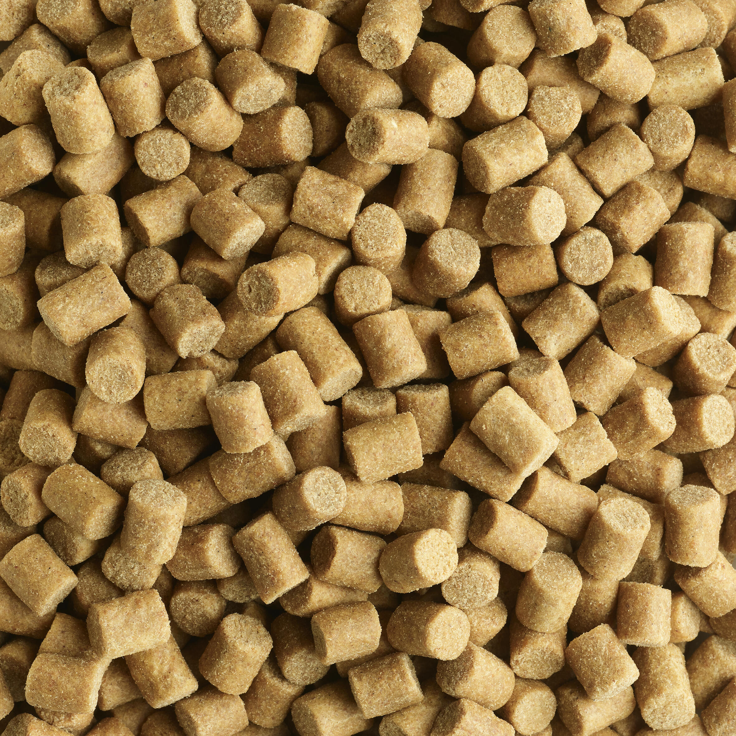 Torchwood 20 X Imitation 8mm Floating Pellets – Pop Up Carp Barbel Coarse Fishing Bait – Brown