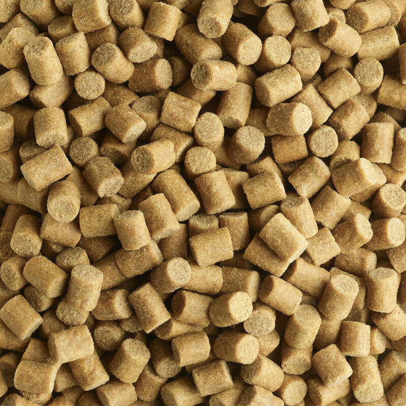 GOOSTER PELLET COARSE 8MM 0,7kg POUR LA PECHE DE LA CARPE