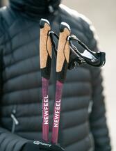 Batons de marche