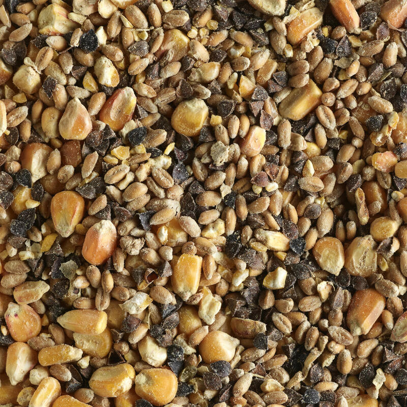 Směs sušených zrn na kaprařinu Eko 20 kg