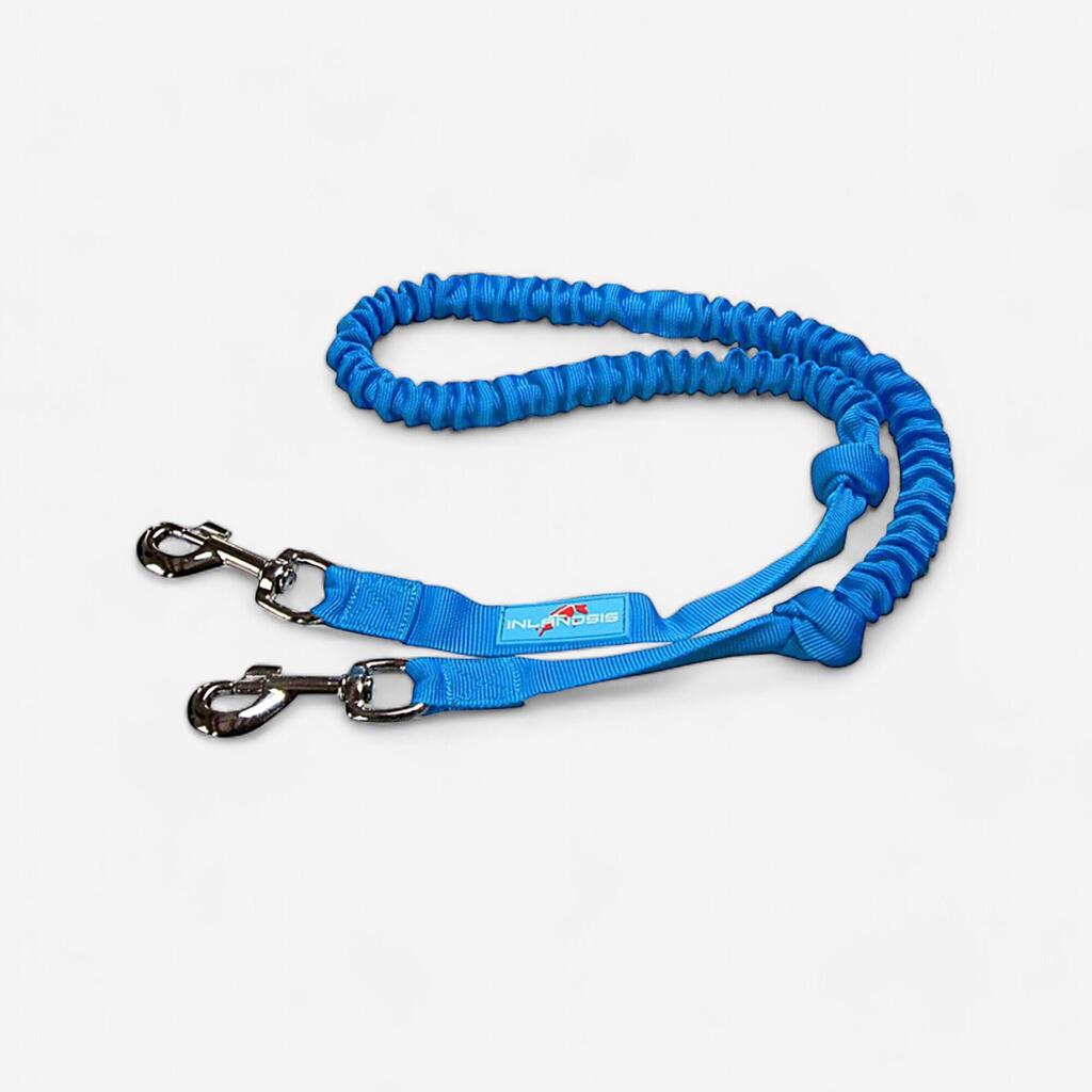 Laisse canicross/canirandonnée, Inlandsis Crosser 2 bleu