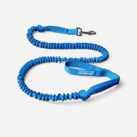 Laisse canivtt, Inlandsis Bikejor Leash bleu
