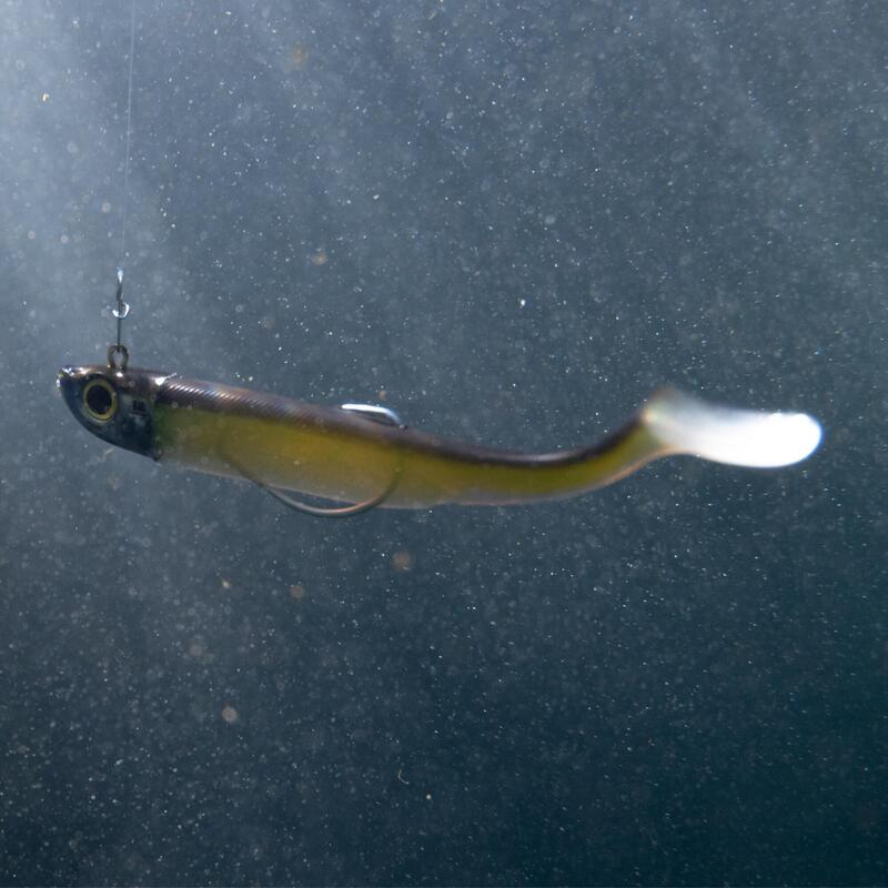 KIT leurres souples shad texan anchois ANCHO 90 12g Ayu pêche en mer -  Decathlon