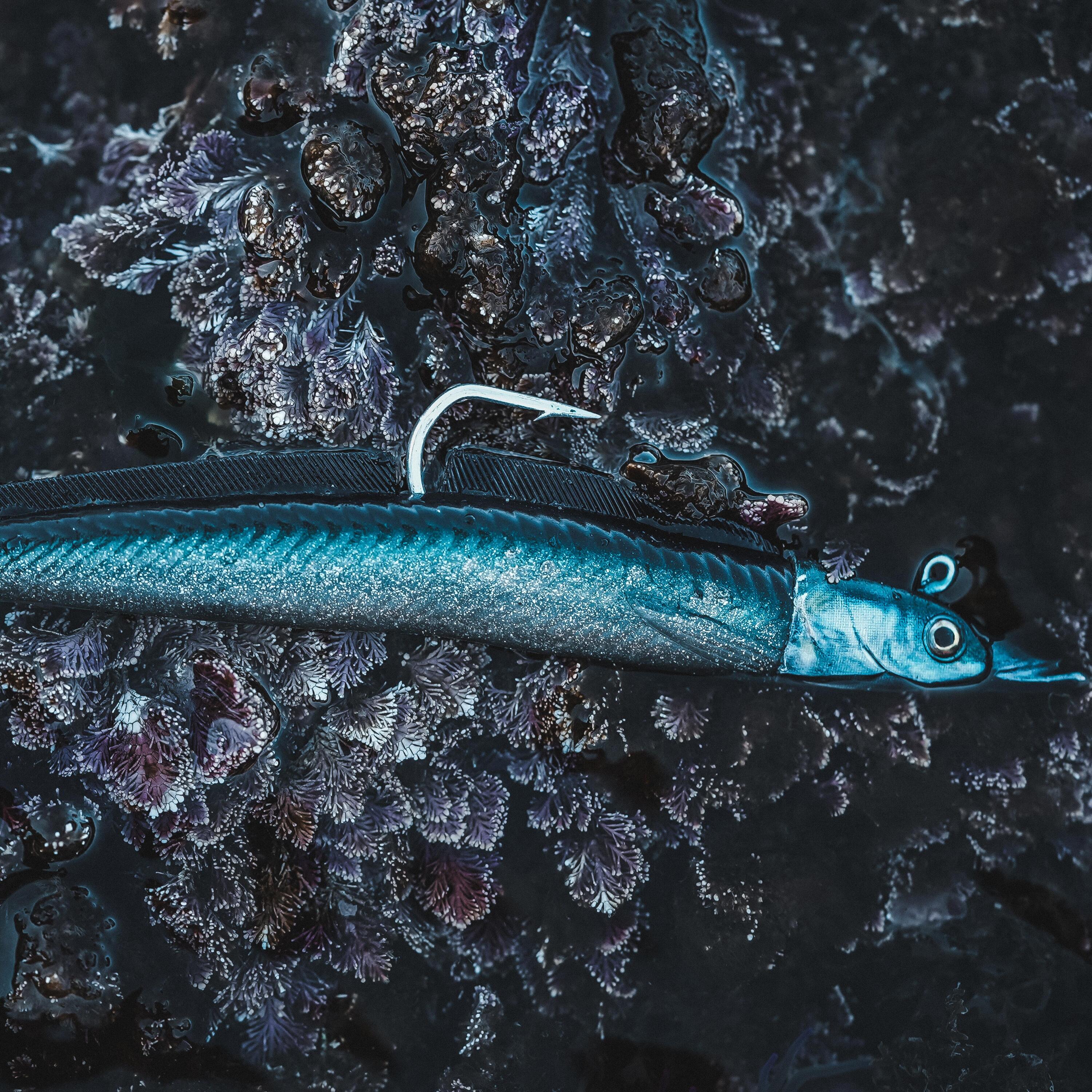 soft lures sand eel COMBO EELO 110 8 gr AYU/ BLUE 4/10