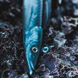 soft lures sand eel COMBO EELO 110 8 gr AYU/ BLUE