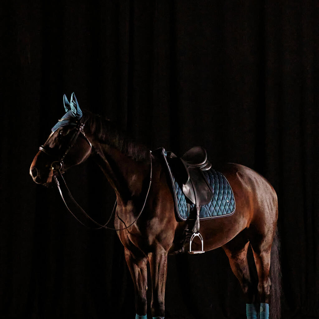 Fliegenhaube Pferd blau