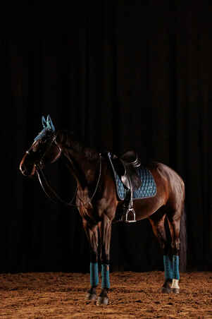 Dressurschabracke 900 Pferd türkis