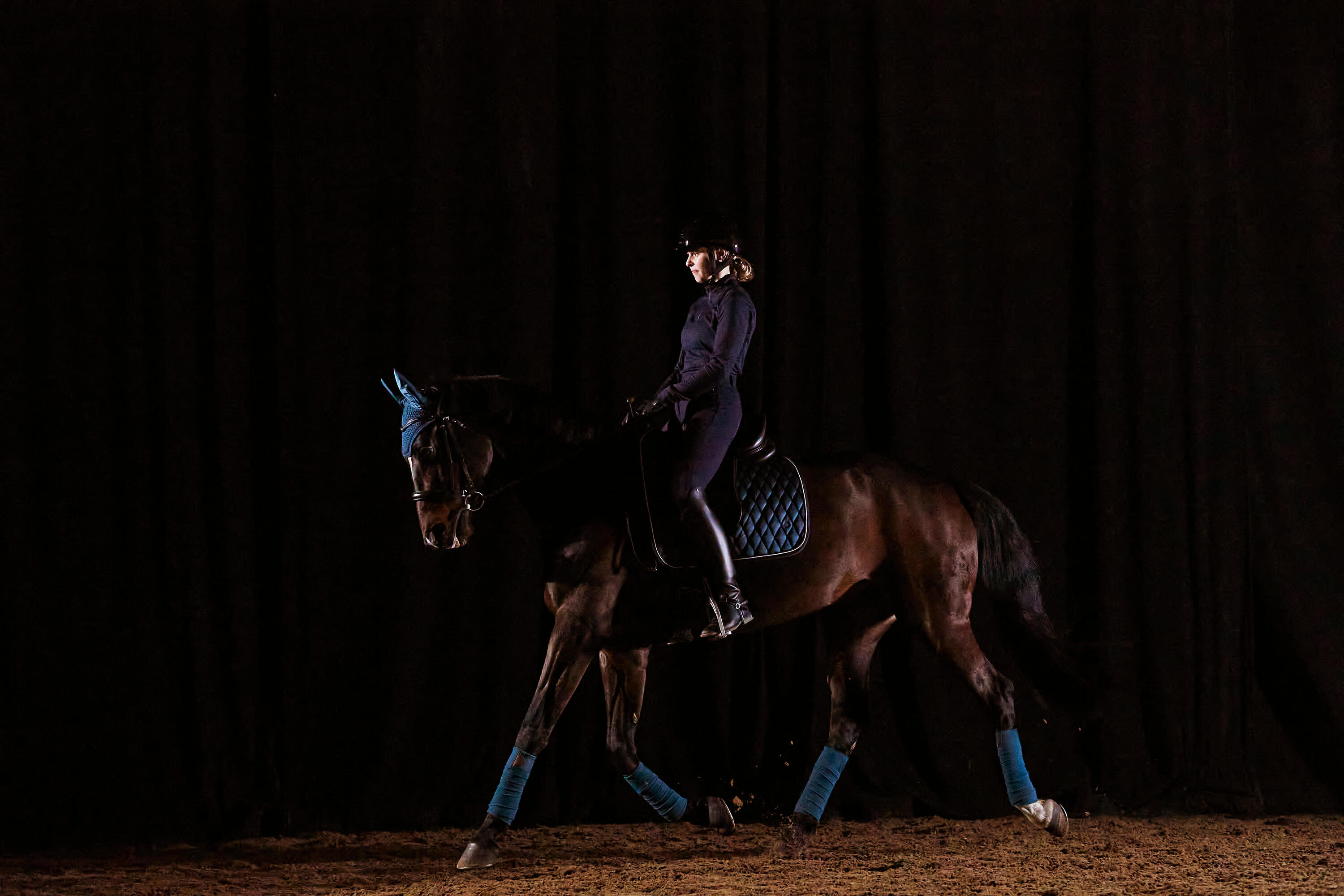 Bandes de polo équitation Cheval et Poney - pétroles x4 5/7