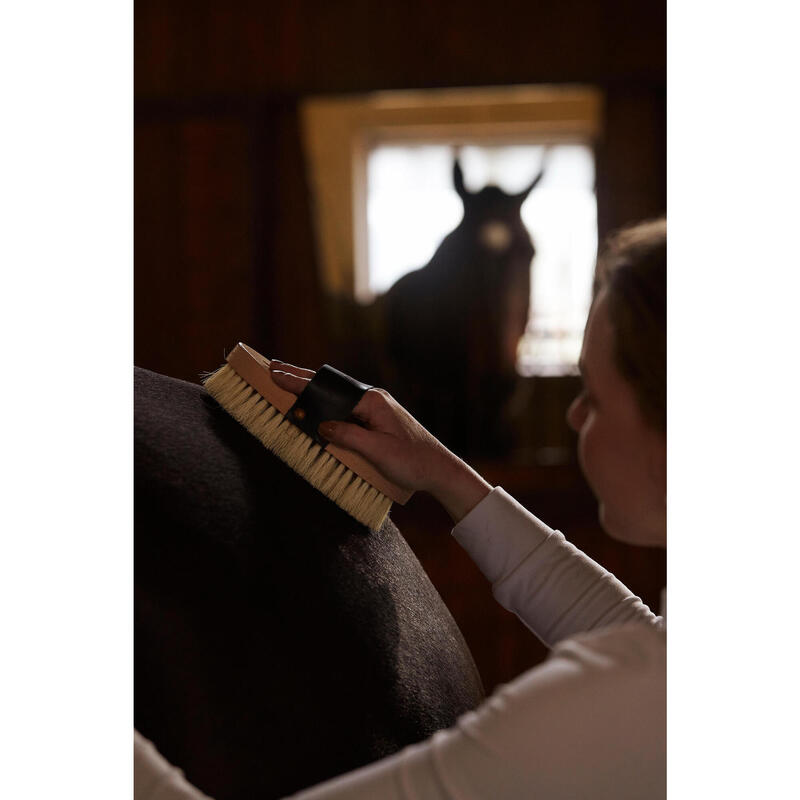 Paardenborstel met korte haren SENTIER hout