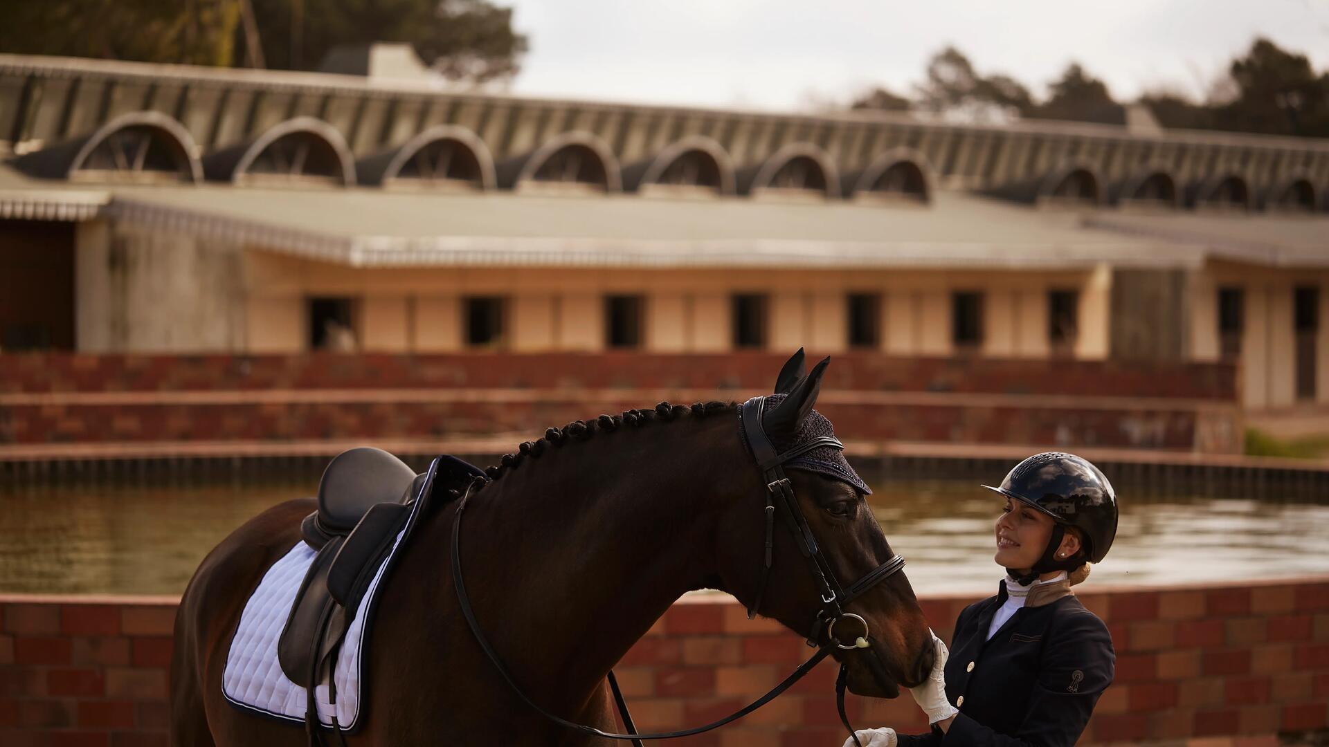 Cheval agé en train de faire des exercices de travail à pied en liberté avec sa cavalière