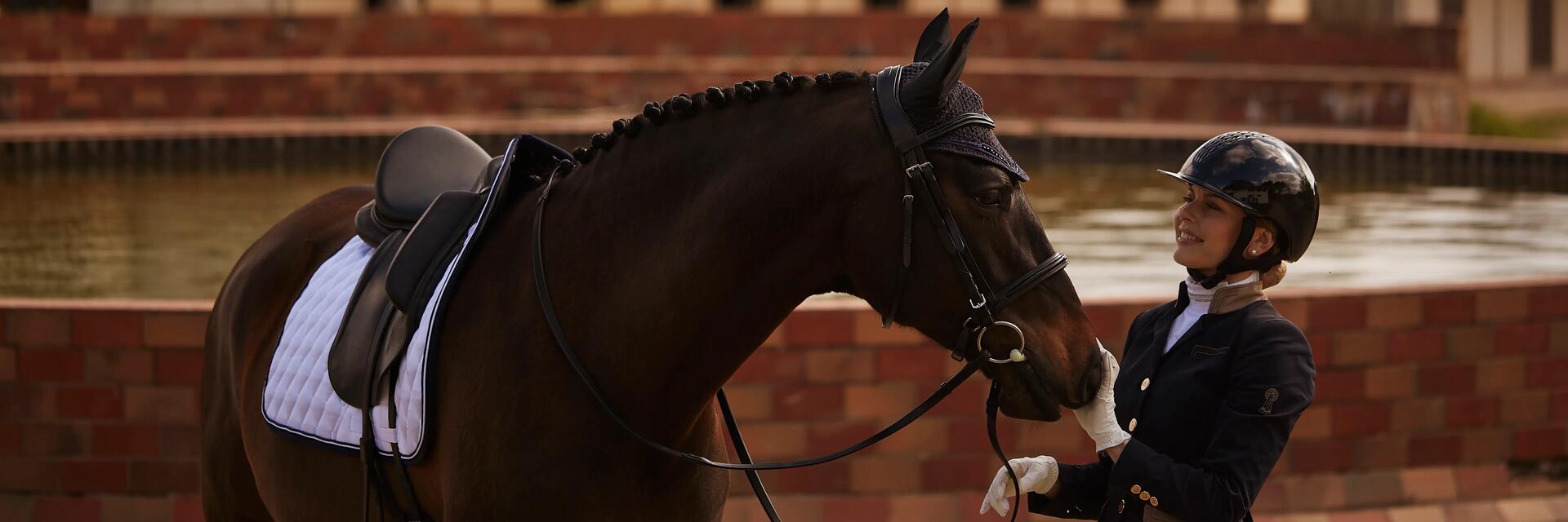 grooming-nos-meilleurs-conseils-pour-un-cheval-qui-brille