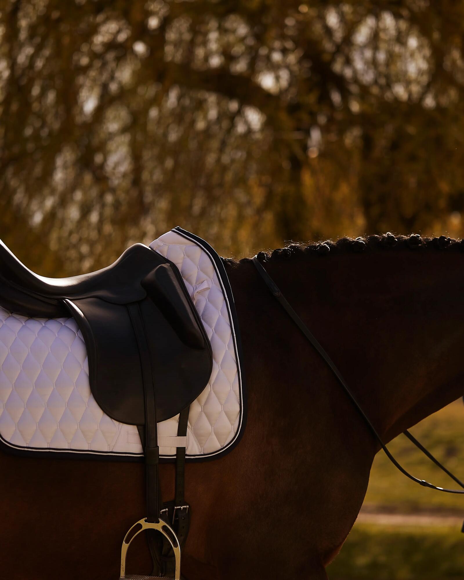 Selle equitazione