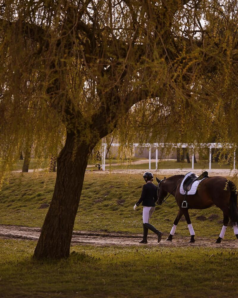 Paardenwinkel