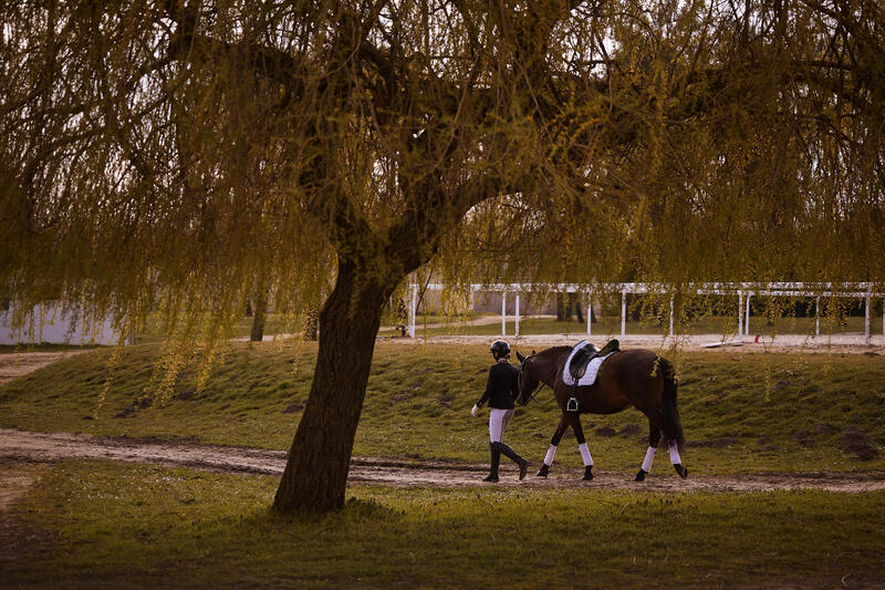 Hoe kies je de juiste wedstrijdkleding voor paardrijden?