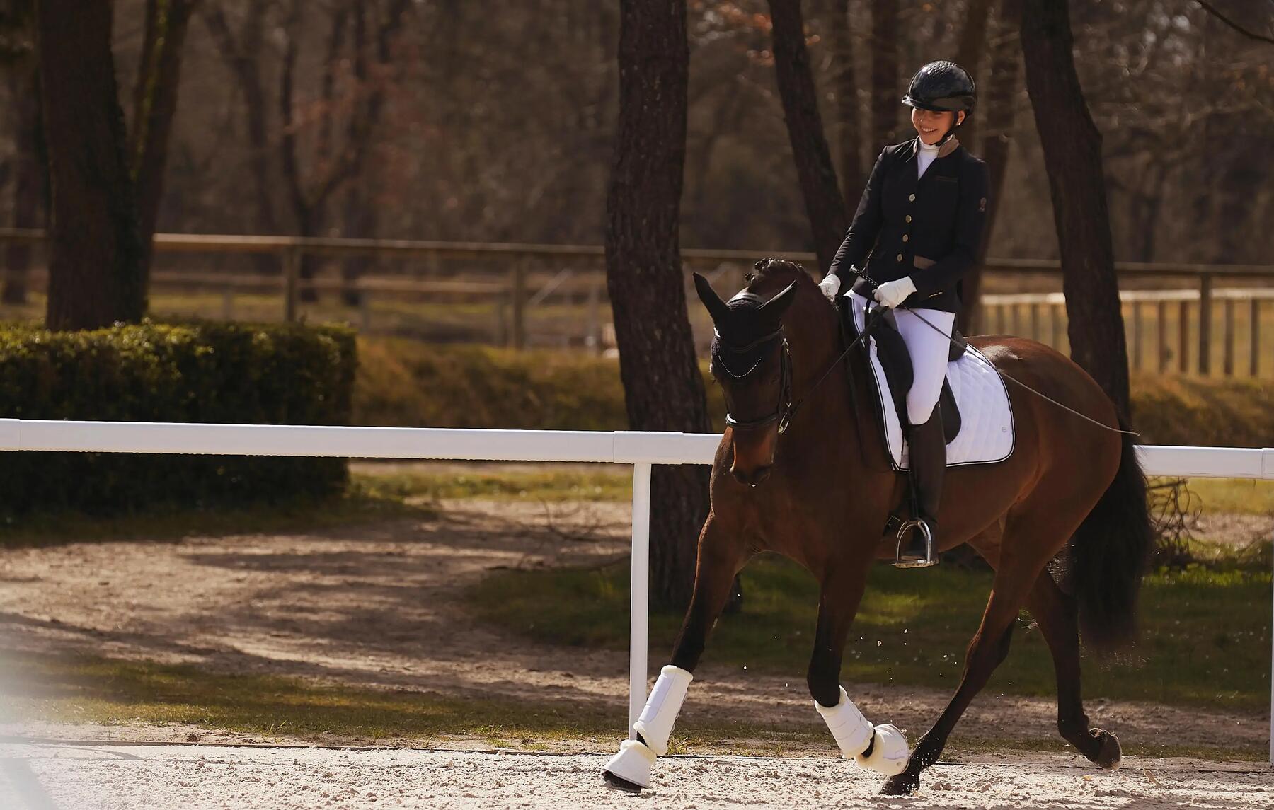 Equitation : les 3 grandes disciplines équestres de compétition