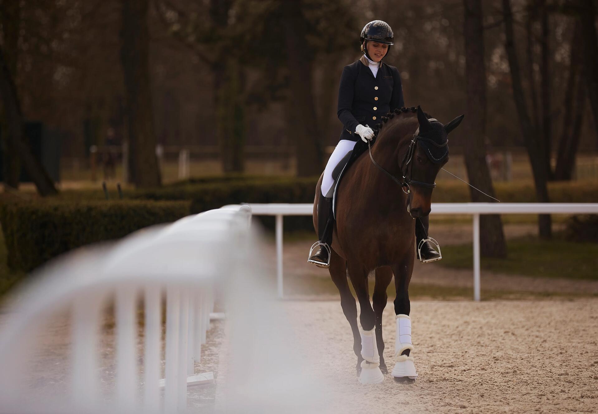L'épaule en dedans pendant une reprise de dressage