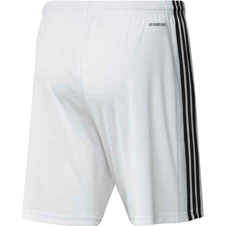 Adult Football Shorts Squadra - White