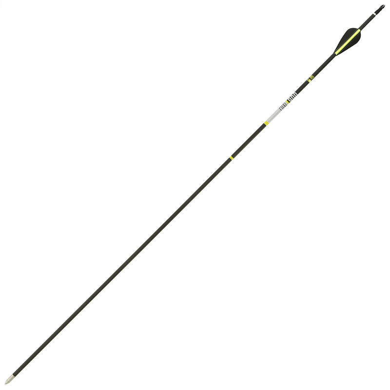 GEOLOGIC CLUB 900 ARCHERY ARROW Decathlon