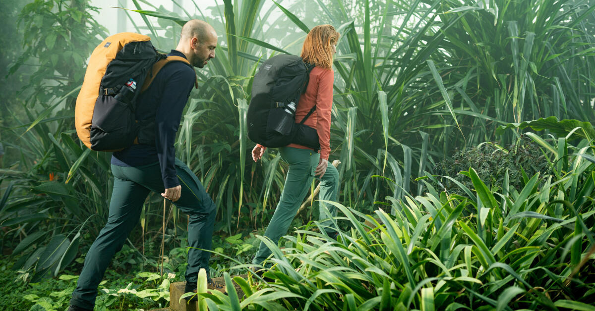 Jungle Trek