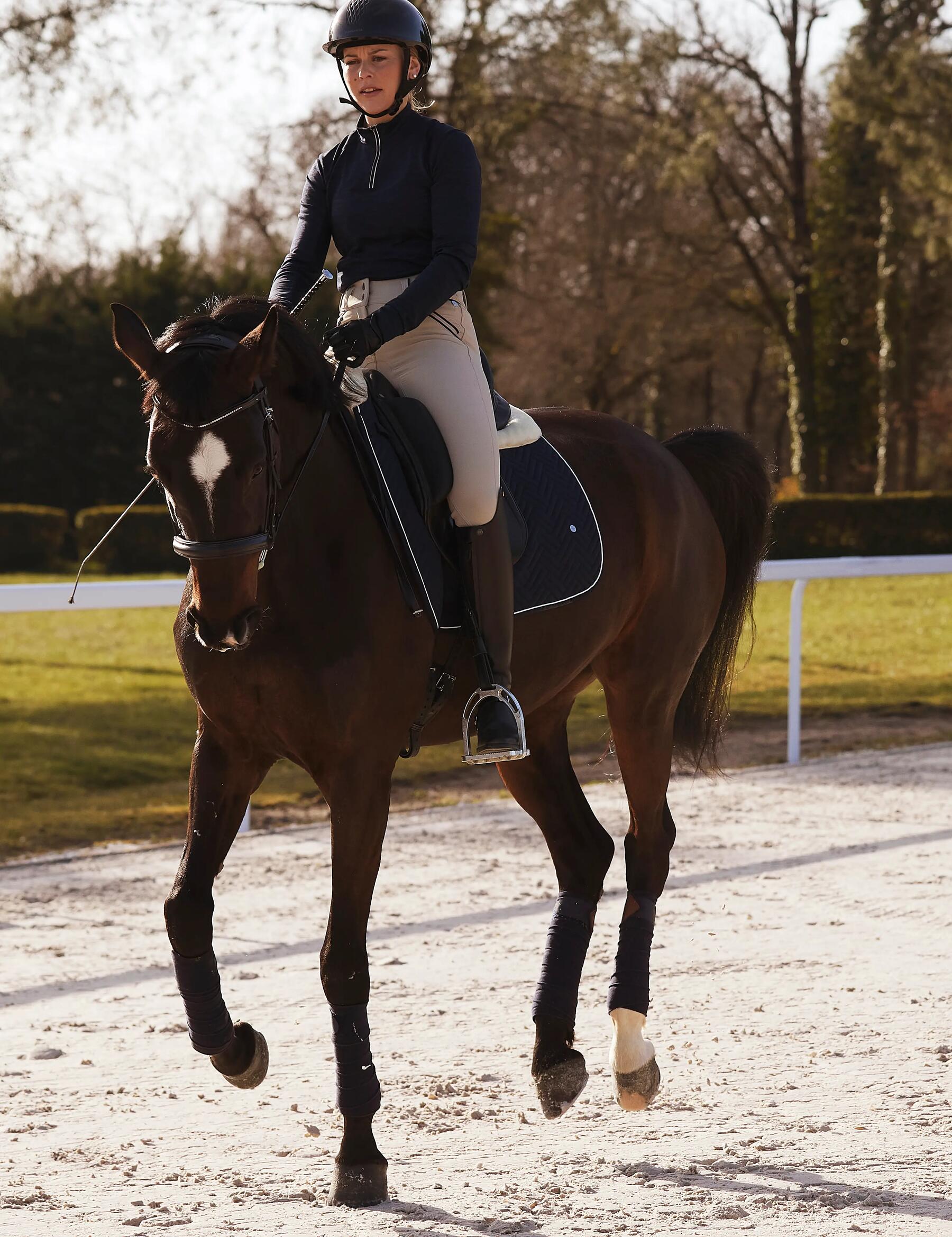 meditation-yoga-equitation