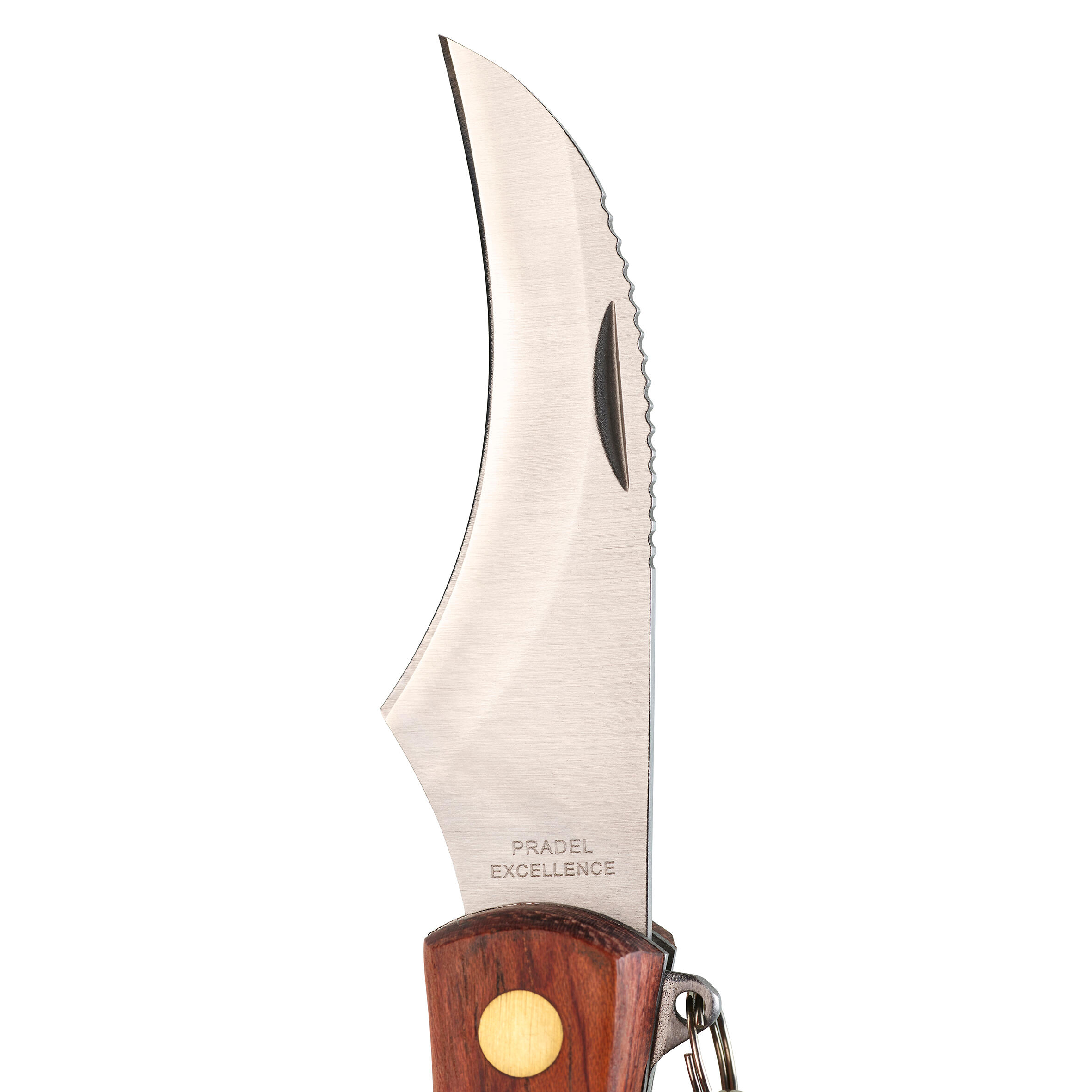 Klapp-Pilzmesser 7 cm rostfrei Pradel 5/8
